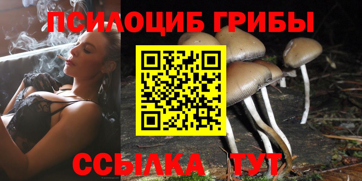Галлюциногенные грибы мицелий Ижевск